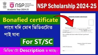 Добросовестный сертификат на стипендию NSP | Добросовестный сертификат ST/SC | Добросовестный сер...