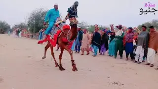 Camel racing traditional game of Sindh sukkar hadar Shah thar geosindh  #viral #danas