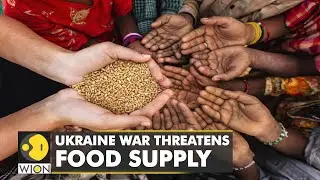 War in Ukraine fuels a global food crisis | Wheat prices hit record high in recent years | WION News