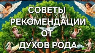 🔥СОВЕТЫ И РЕКОМЕНДАЦИИ ОТ ДУХОВ РОДА 💫 #таро #духирода #информация #поток #духовность 