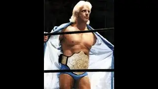 RIC FLAIR Big Gold WWE / WCW World Heavyweight Championship Belt