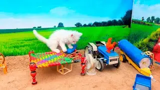 DIY Mini Farming with Cat 🐱🚜 | Welcome to Captain Kittu Mini Farmer #diy#diyminitractor#cat#funny 