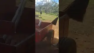 Fazenda Maravilha 08 Agosto 2025