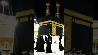 #allah#allahuakbar#trustonallah#true#love#foryou#shorts#shortfeed#viralshorts#trendingshorts#fyp