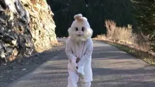 Here comes the Easter Bunny