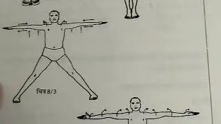 B. K. S. iyengar yoga practice  book