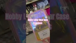 This case was perfect for organizing my car drawer! #hobbylobby #organization #shopwithme #shopping