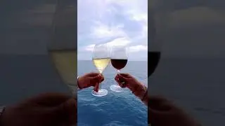 Time For Another Cruise Holiday | Cordelia Cruises