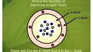 Atom.MP4