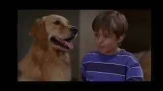 Air Buddies (2006) - Final Battle Scene credit to @Disney & @airbudtv 