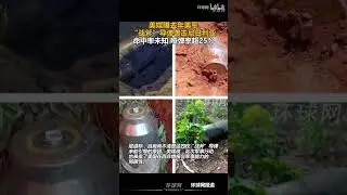美媒曝去年美軍&ldquo;戰斧&rdquo;導彈襲擊尼日利亞，命中率未知，啞彈率超25%