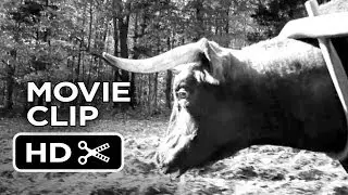 Sundance Film Festival (2014) - The Better Angels Movie CLIP 2 - Drama Movie HD