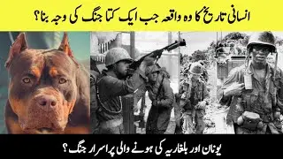 Interesting facts Of War || War reason Of A Dog || Balhariya Vs Unan War History ||Hindi Urdu facts