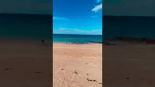 Plage du Portuais 22430 Erquy, C&ocirc;tes-d'Armor, Brittany, France 5th September 2022 #Shorts 4K