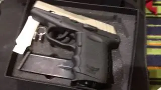 Introducing The SCCY Pistol