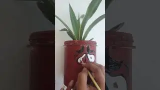funny face pot painting 🖼 😄 | cartoon face |pot painting ideas #shorts #shortsindia #art #potpaintin
