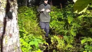 on a chilkat state park trail.MP4