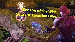 Season of the Wish Starcat Locations Week 6#gaming #destiny2 #destiny #destinyplayers #helpvideos