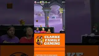 KILL THE SLEDGE BRO! (New Super Mario Bros U Deluxe)