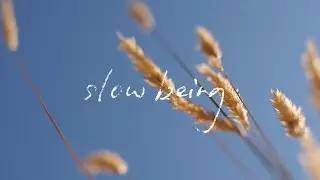 Slow Being | Midsummer in the Southern Gulf Isles