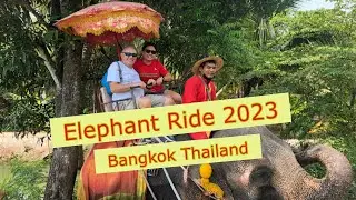 Damnoen Saduak Elephant Village, Bangkok - Our Elephant Ride Experience 2023