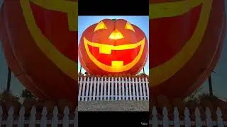 #sandiego #pumpkinpatch #jackolantern