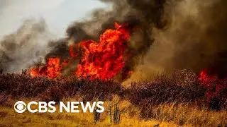 California's Gifford Fire burns more than 40,000 acres