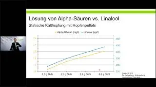 Einflussfaktoren auf den Einsatz und die Ausbeute von Hopfeninhaltsstoffen beim Dry Hopping
