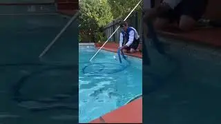 Chill & Relax #ASMR #poolwork #satisfying