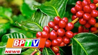 BPTV NEWS 8-8-2022: Vietnam posts two-fold growth in agricultural trade surplus