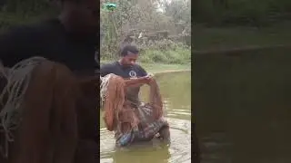 net short the fishing #fishing #amazing #amazingfish #gonefishing #amazingfishing