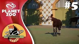 Planet Zoo - Antwerp Zoo #5 Okapi Habitat (Moorish Temple)