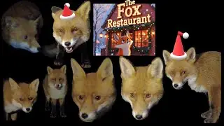 Happy New Year from The Fox Restaurant!!