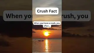 DailyMindFacts