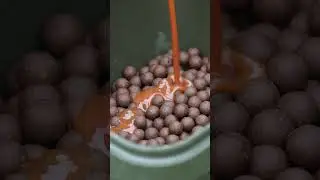 CARP FISHING BAIT &ndash; &ldquo;WHAT LIQUID WORKS BEST WITH THE BUG?&rdquo; 🐛 #shorts #dnabaits #carpfishing