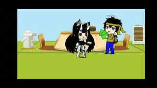 Vídeo especial parte 12 