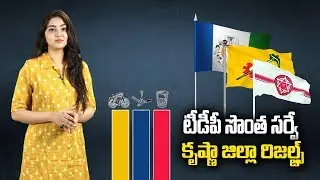 TDP Own Survey Report In Krishna District  Results | AP Elections 2019 | Social Tv Telugu