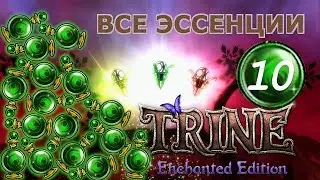 Trine enchanted edition 10. Shadowthorn Thicket