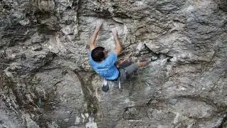 Kotečnik Guernica 8a