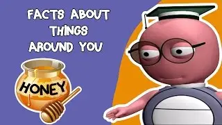 General Knowledge Questions For Kids | Facts About Things Around You | Kidsvideoshow