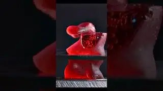 Jelly Bear Satisfying Video Macro Object