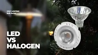 LED vs Halogen Bulbs for Landscape Lighting | Bulb Series