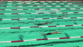 2026 01 23 UGA vs Tenn Men's 100 Butterfly