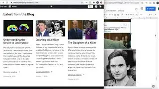 Blog Reflection WRIT340