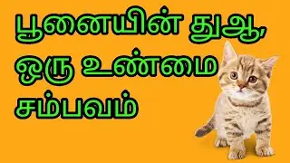 பூனையின் துஆ | இஸ்லாத்தில் தர்மம் | Tamil bayan | Prahasamtv