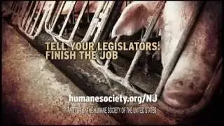 Ban Gestation Crates: HSUS TV Ad in New Jersey