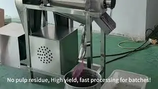 Crusher juicer for grapes. Unlocks natural flavor, ideal for juicing & wine making.