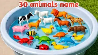 30 Animals for Kids | Learn Animal Names | Toy vs Real | Animals Name for Toddlers