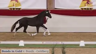 Bonds in Gold v. Bonds x Goldberg x Rubin Royal