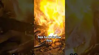 In the Fire - Tim Dilena Quote